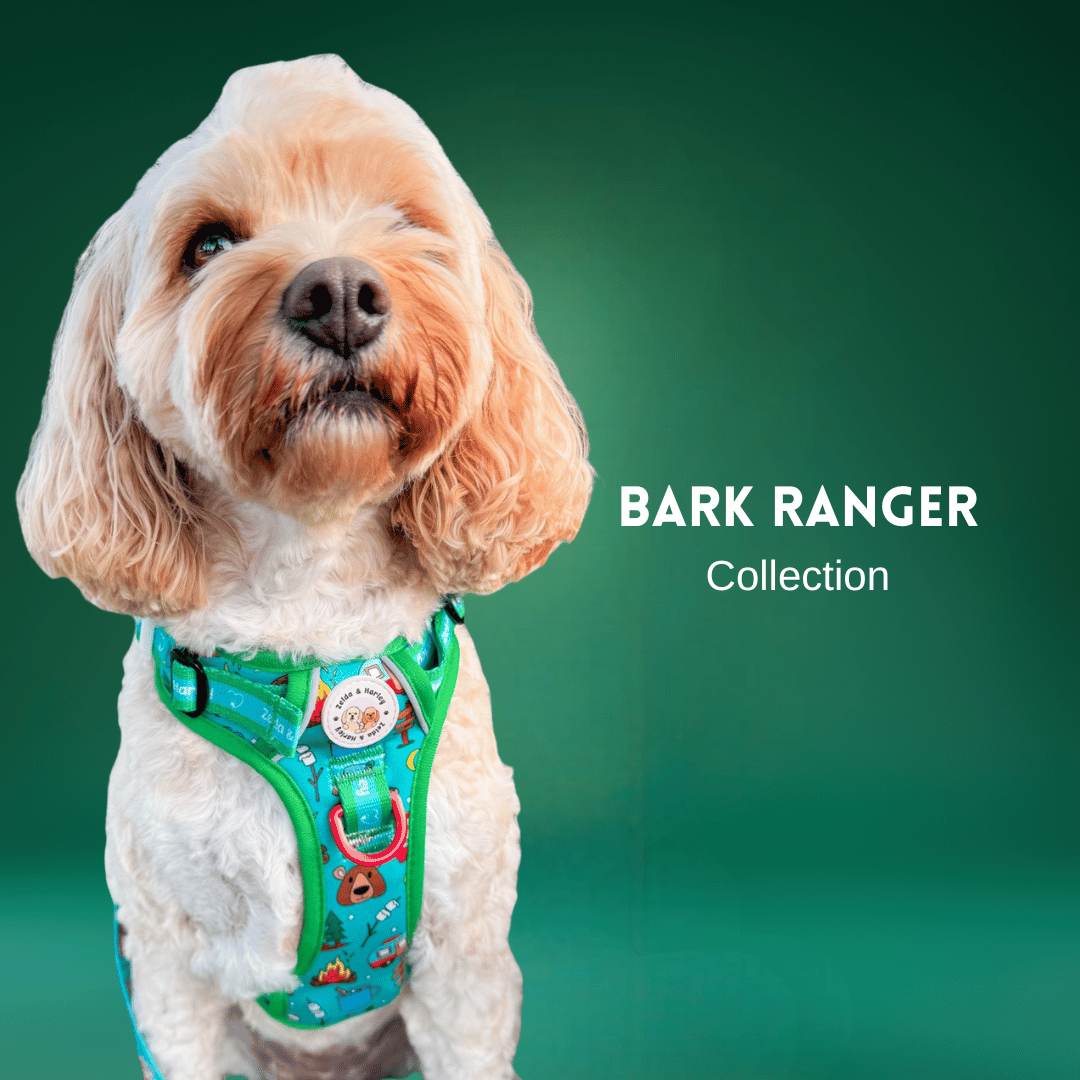 Bark Ranger Collection