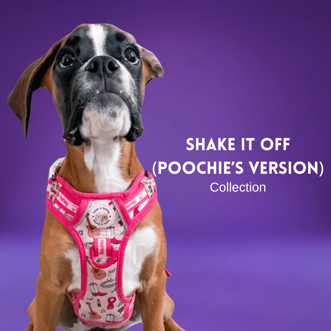 Shake it Off (Poochie's Version)