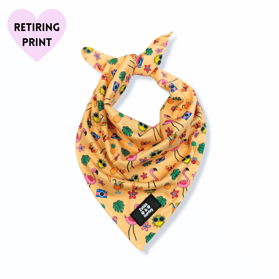 Zelda & Harley Bandanas Club Pupicana Bandana