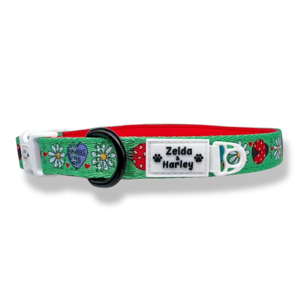 Zelda & Harley Collar Snuggle Bug Collar