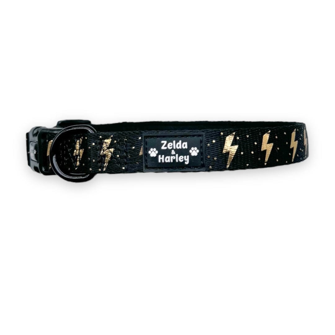 Zelda & Harley Collar ThunderPaws Collar