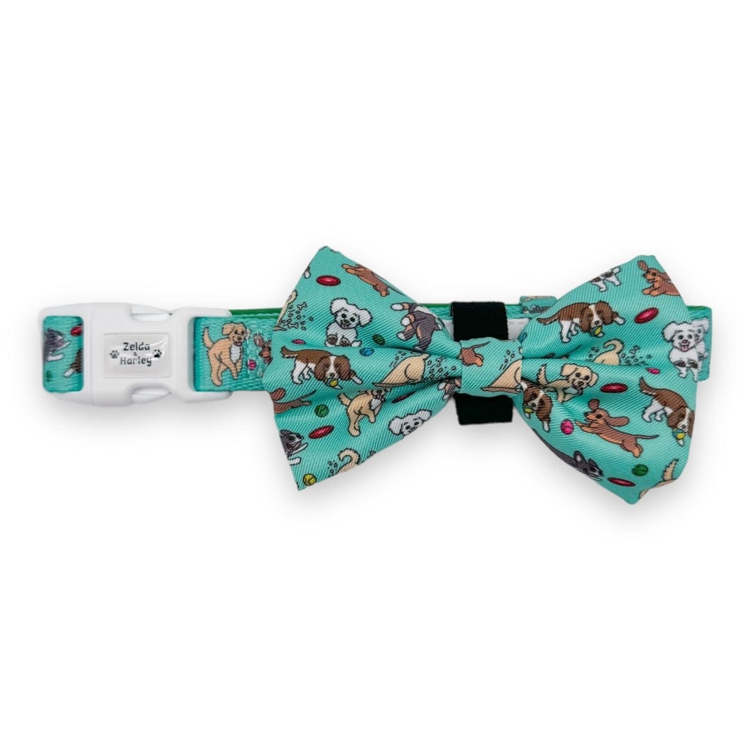 Zelda & Harley Collar Zoomies 2.0 Collar + Bow Tie