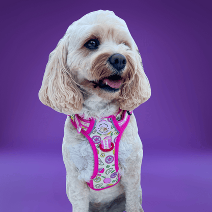 Zelda & Harley Harness Pink Lemonade - Adventure No Pull Harness