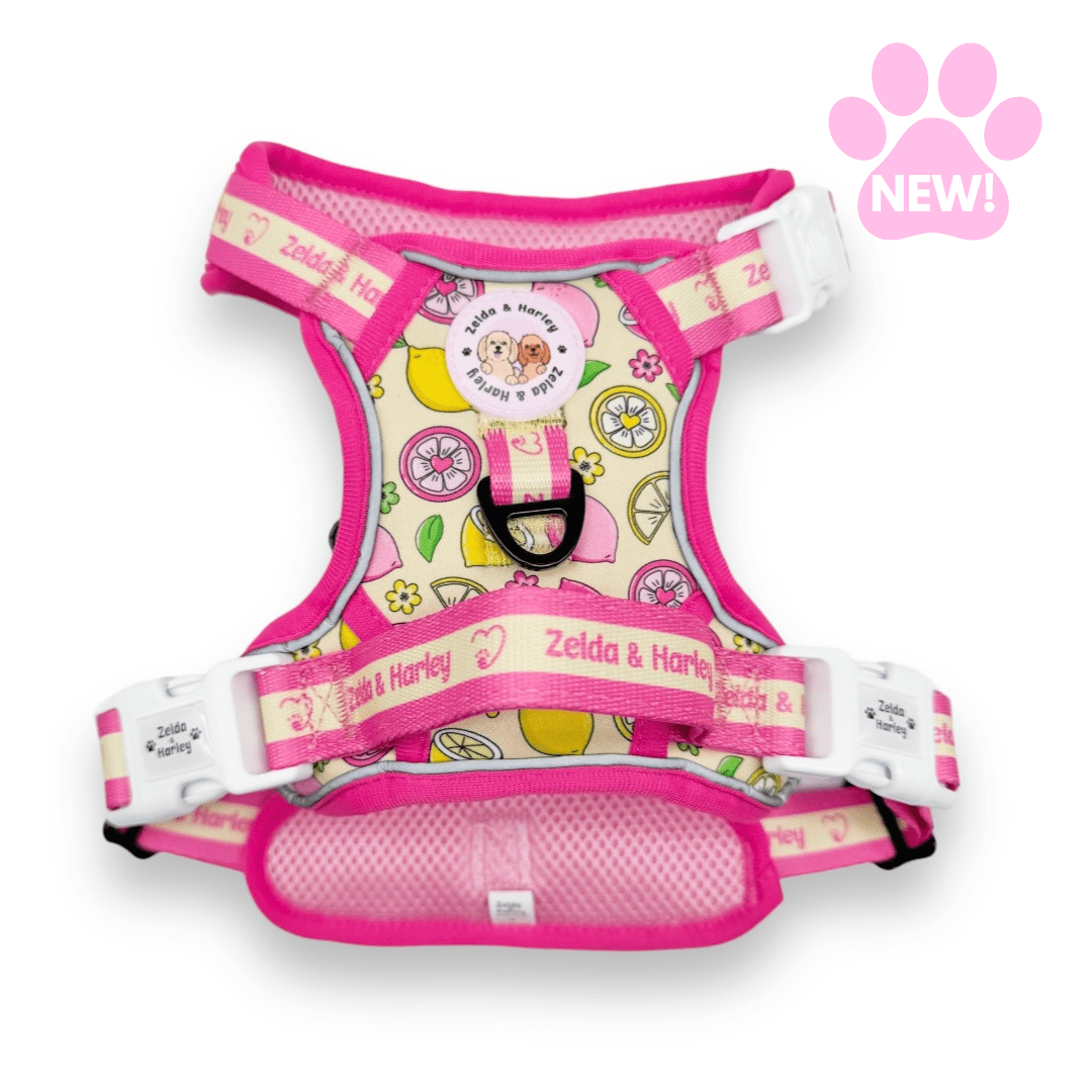 Zelda & Harley Harness Pink Lemonade - Adventure No Pull Harness